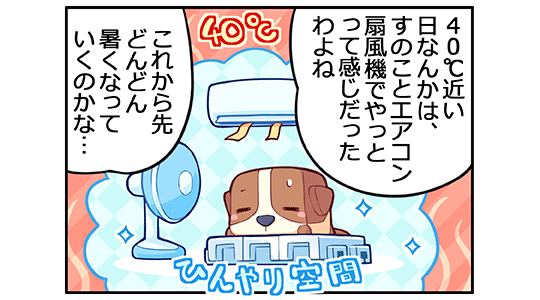 ̂^BEFuR~bN31bR}